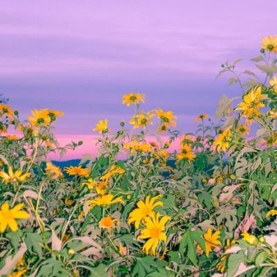 爱游戏app官方下载2.0.1截图